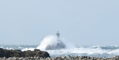 IMG-20250128-WA0016