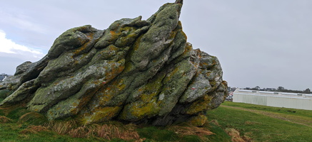 IMG-20250128-WA0013