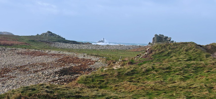 IMG-20250128-WA0009