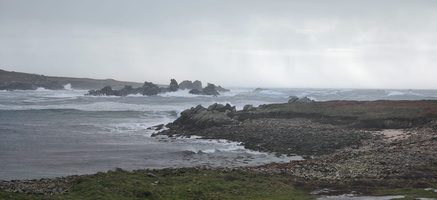 IMG-20250128-WA0010