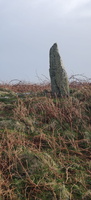 IMG-20250128-WA0007