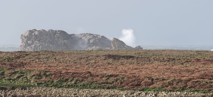 IMG-20250128-WA0006