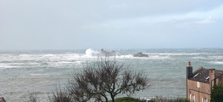 IMG-20250128-WA0003