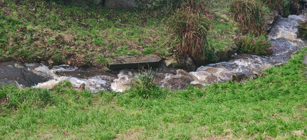 IMG-20250128-WA0002