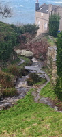 IMG-20250128-WA0001