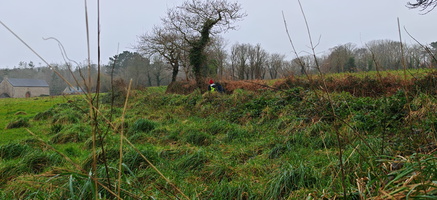 IMG-20250204-WA0018