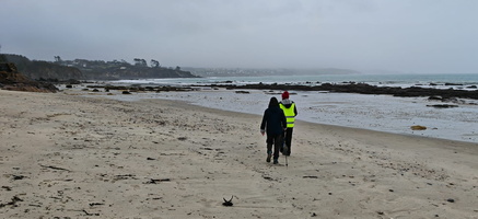 IMG-20250204-WA0012