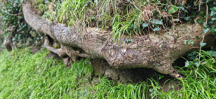 IMG-20250204-WA0009