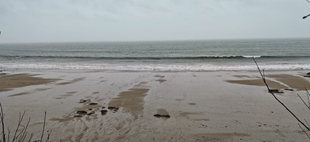 IMG-20250204-WA0008