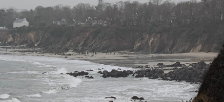 IMG-20250204-WA0003