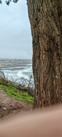 IMG-20250204-WA0001