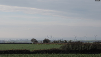 P2117155.JPG