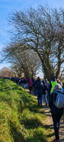 IMG-20250211-WA0022