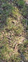 IMG-20250211-WA0021