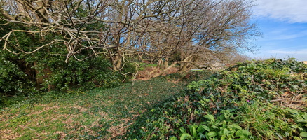 IMG-20250211-WA0015