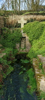 IMG-20250211-WA0003