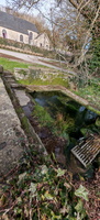 IMG-20250211-WA0002