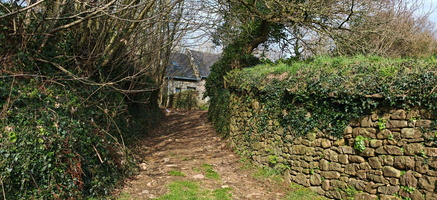 IMG-20250211-WA0008