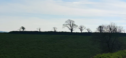 IMG-20250211-WA0006