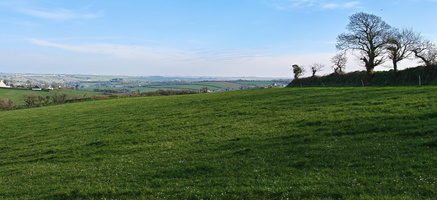 IMG-20250211-WA0001