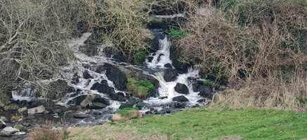 IMG-20250218-WA0002