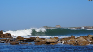 P2247364.JPG