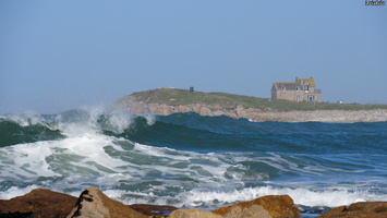 P2247375.JPG