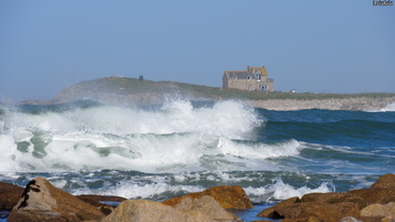 P2247376.JPG