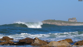 P2247380.JPG