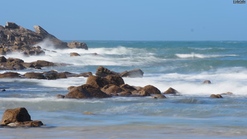 P2247384.JPG