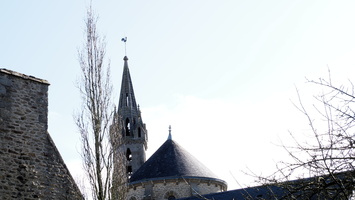 P2257429.JPG