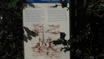 P2257441.JPG