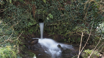 P2257445.JPG