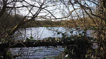 P2257446.JPG