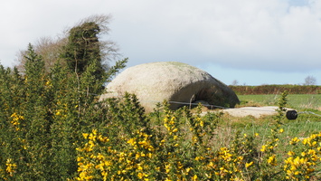 P2257447.JPG