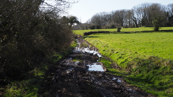 P2257449.JPG