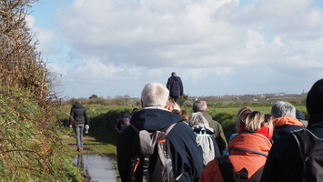 P2257452.JPG