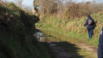 P2257455.JPG