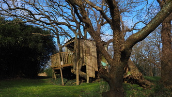 P2257462.JPG