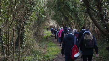 P2257463.JPG