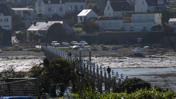 P3047503.JPG