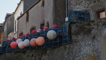 P3047520.JPG