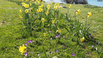 P3047531.JPG