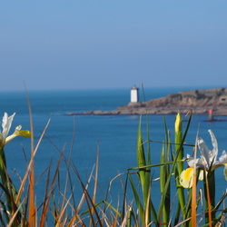 20250304 - 17 - LE CONQUET LOCHRIST