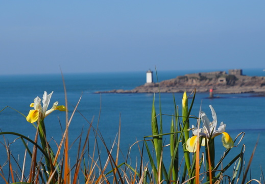 20250304 - 17 - LE CONQUET LOCHRIST