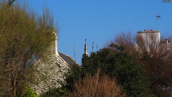 P3047547.JPG