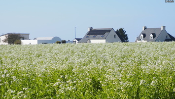 P3047552.JPG