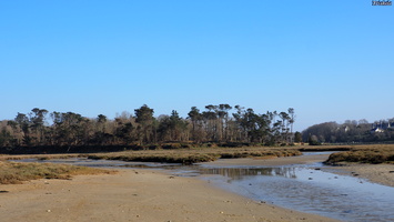 P3047562.JPG
