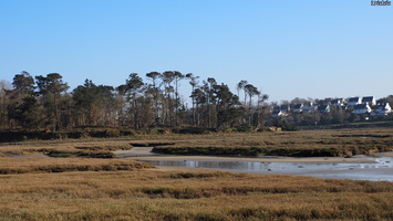 P3047563.JPG