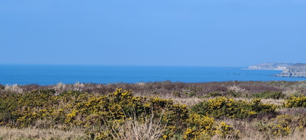 IMG-20250304-WA0099